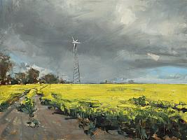Raps 30 x 40cm
